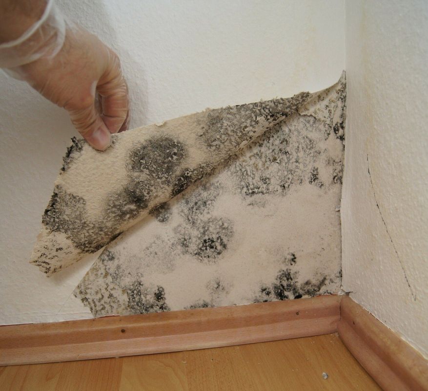 ����� �������: ��� �������� ����� �� ����������� ����������