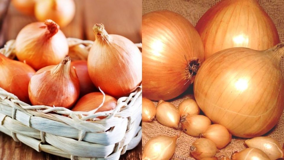 ��� ��������� ��� � �����: ������� ������������ ����� �� �������� �������