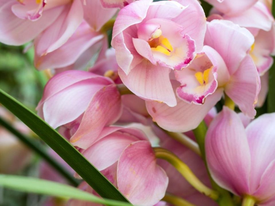 ������ ����� ������: �������� ������� �� ����� ���