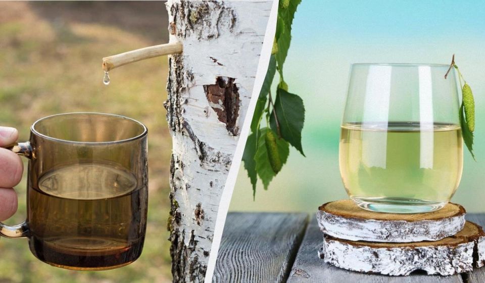 ��������� ���: ������� ����� � �������� ������������ �������