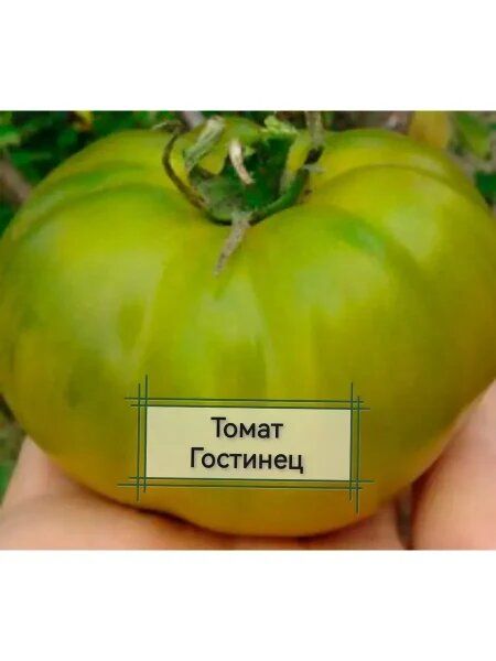 ����� ��������: ������� ������� ������ ��� ������� � ���������� ���������