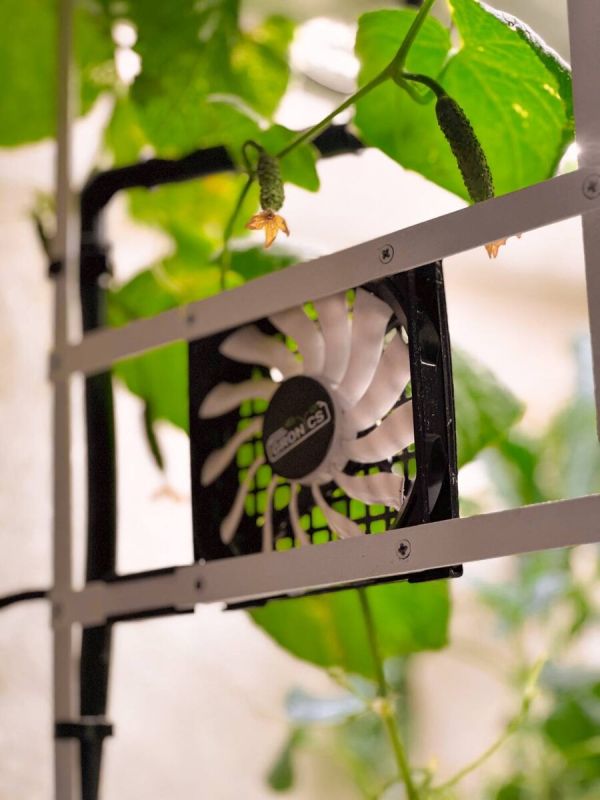 ������: �� ������� ������ �� ����������� �����