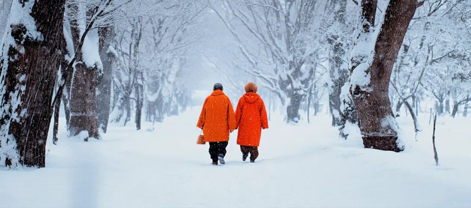 Как получить свои пенсионные накопления в 2026 году