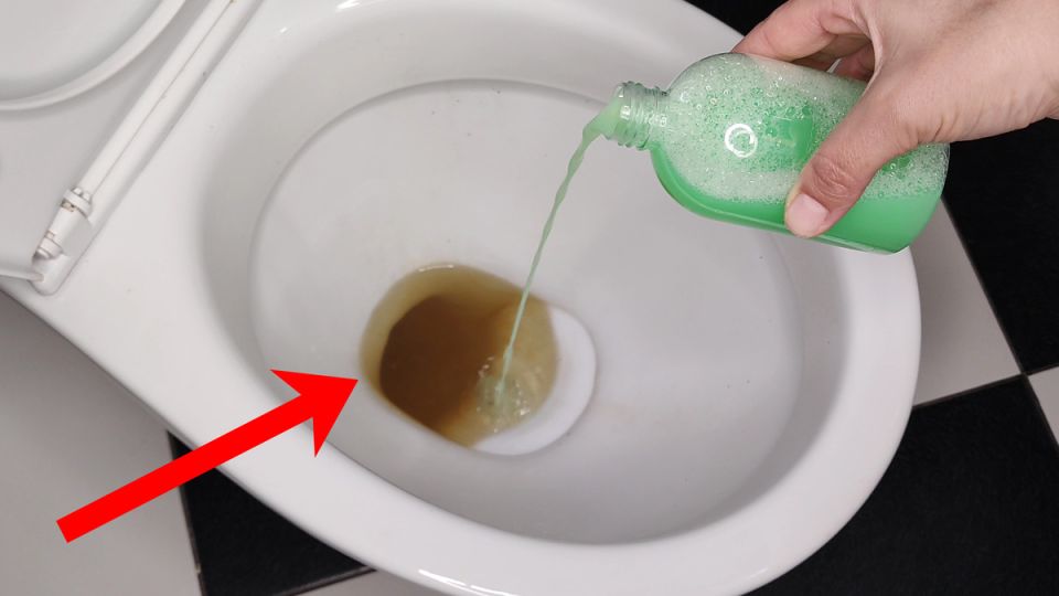 ��� ����� � ������ �������� ������ � �������� ��������