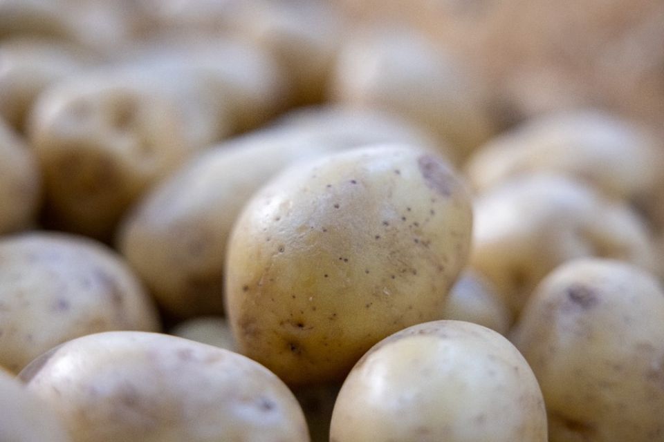 ���������� ����������� � �������� ���������� ��������� �� ������