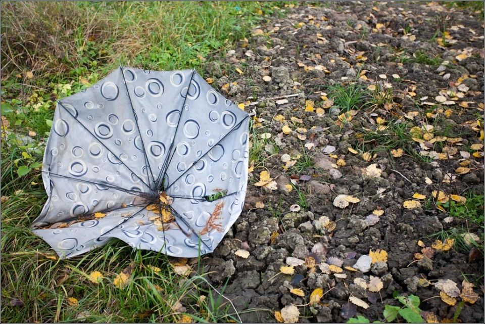 Как старый зонт может стать полезным аксессуаром дома