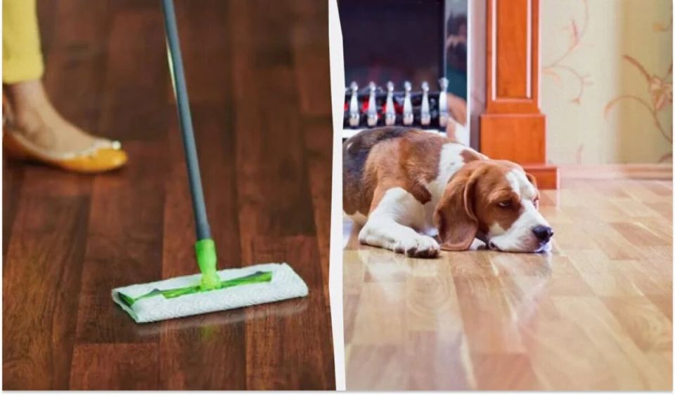 Как сохранить блеск паркета: простые средства для мытья и советы по уходу