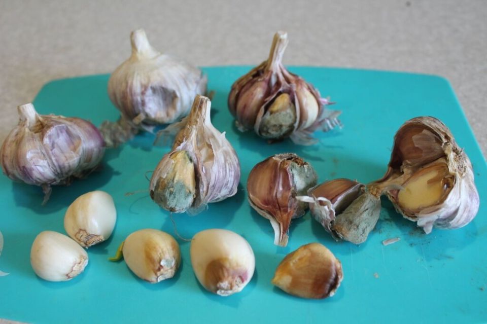 ���������� � ������������ ������ � �������� ������� �� ������ � �� ����� ��������