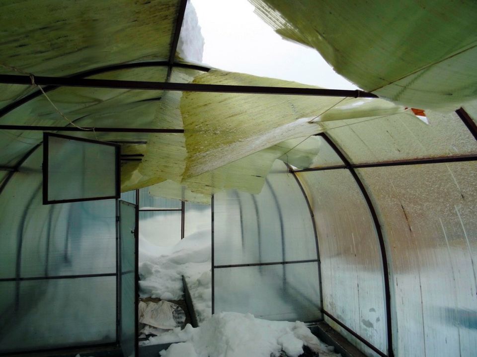 ������ ����� �������� ������������ ������� � ��� �������� ����������