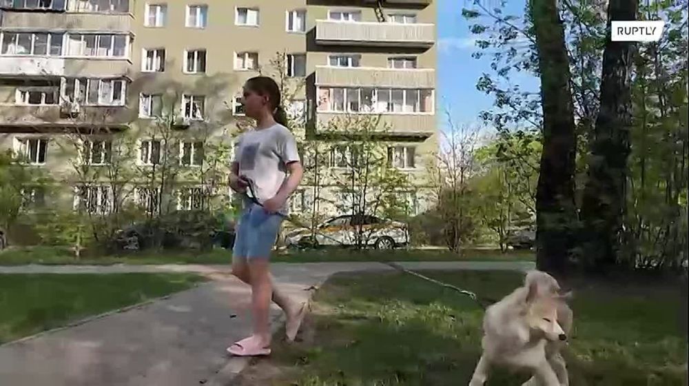 ,   :     ,          