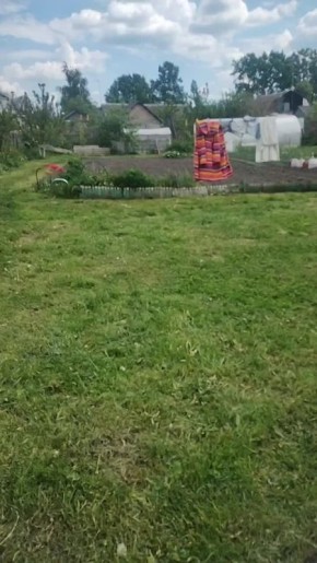      ,      
