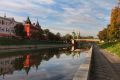 Орловцев просят проголосовать за 378-летний дуб из Мценского района