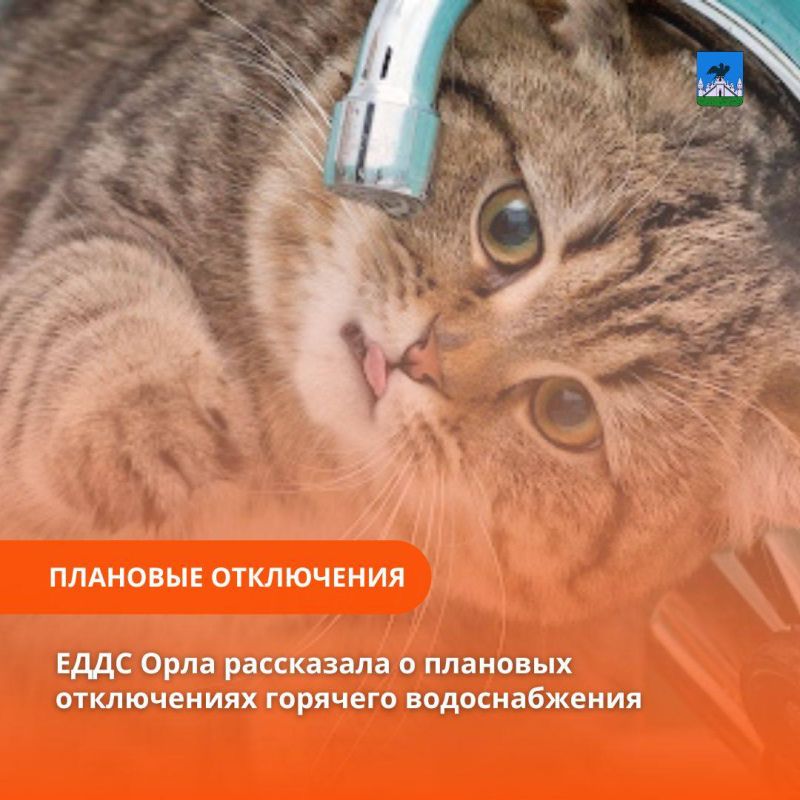   ,   17:00               :