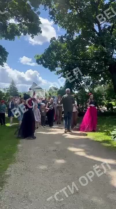  -    &quot; &quot;
