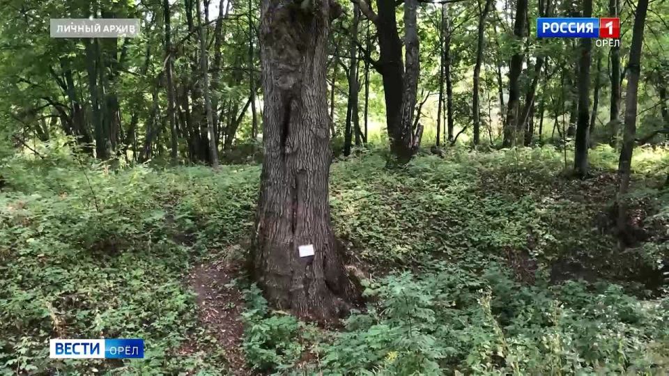    &quot;&quot;   