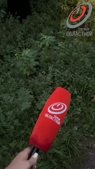    &quot; &quot;      &quot;&quot;   !
