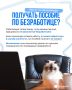 Работающие пенсионеры: Как не потерять работу в меняющемся мире труда