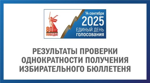 Рабочая группа по контролю за однократностью получения избирательного бюллетеня проверила 399 УИК в 38 регионах и сведения в отношении 415 избирателей, которые подали заявления о голосовании по месту нахождения, но...