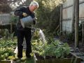 Как россияне планируют свою пенсию