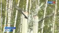 В Орловской области обновили подъезд к Покровской ЦРБ