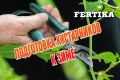 Как подготовить ягодные кустарники к зиме: полезные советы