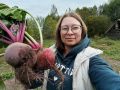 Топ-10 сортов свеклы для зимнего хранения