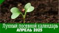 Апрель 2025 года: Лунный календарь для дачников — благоприятные дни для посадок