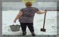 Советы по посадке картофеля: секреты богатого урожая