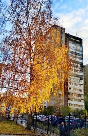  , !.          +8   748 . . .  -,    4 / (:  ) @Perviy_Oblastnoi