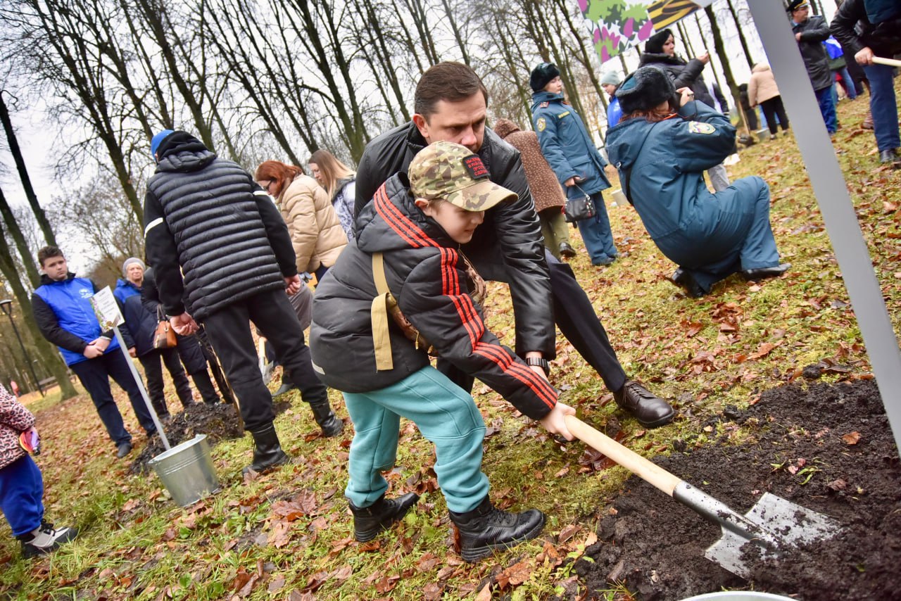 В Орле в Парке Победы высадили 89 молодых лип в память о героях СВО В Орле в Парке Победы высадили 89 молодых лип в память о героях СВО