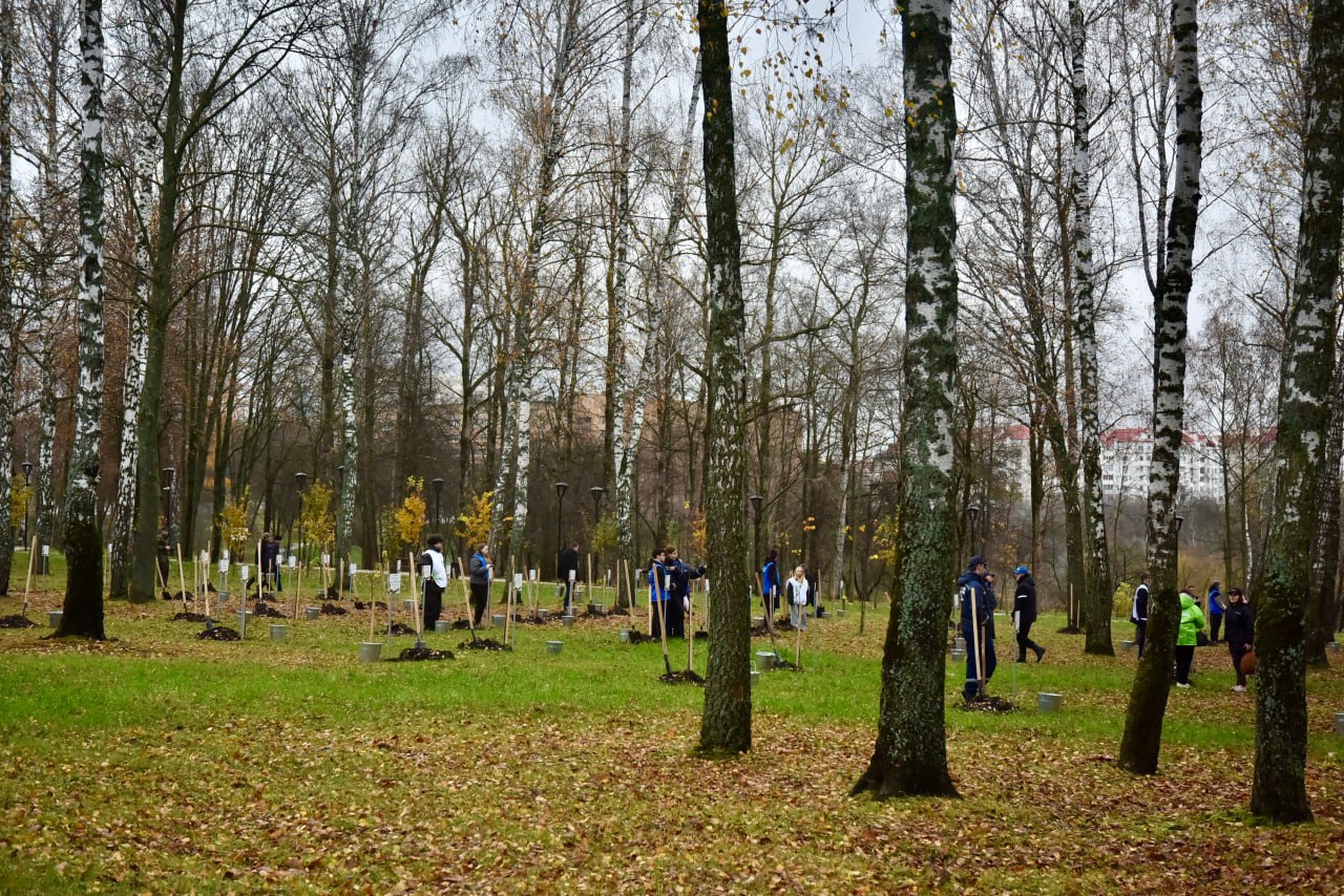 В Орле в Парке Победы высадили 89 молодых лип в память о героях СВО В Орле в Парке Победы высадили 89 молодых лип в память о героях СВО