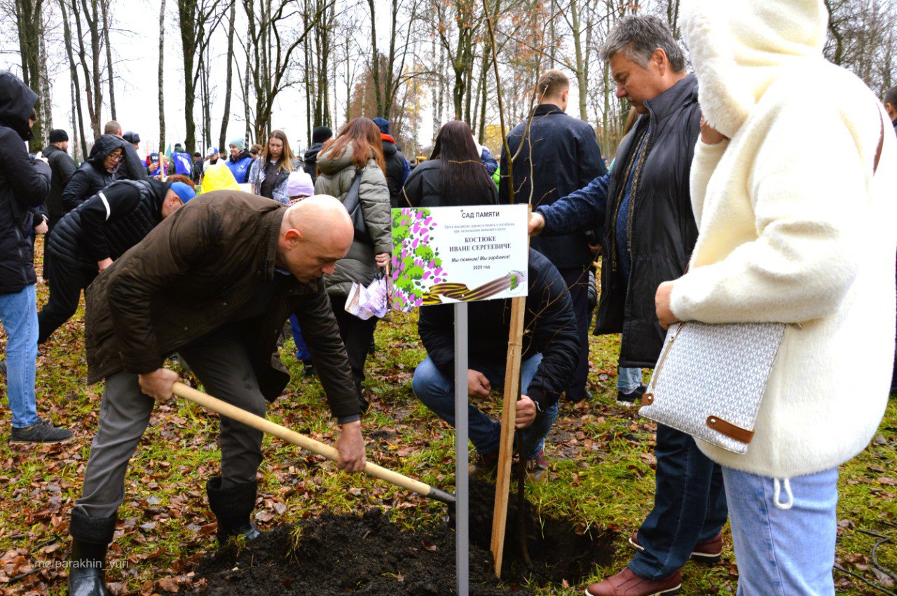 Юрий Парахин: Сегодня в парке Победы появилось 97 новых лип Юрий Парахин: Сегодня в парке Победы появилось 97 новых лип