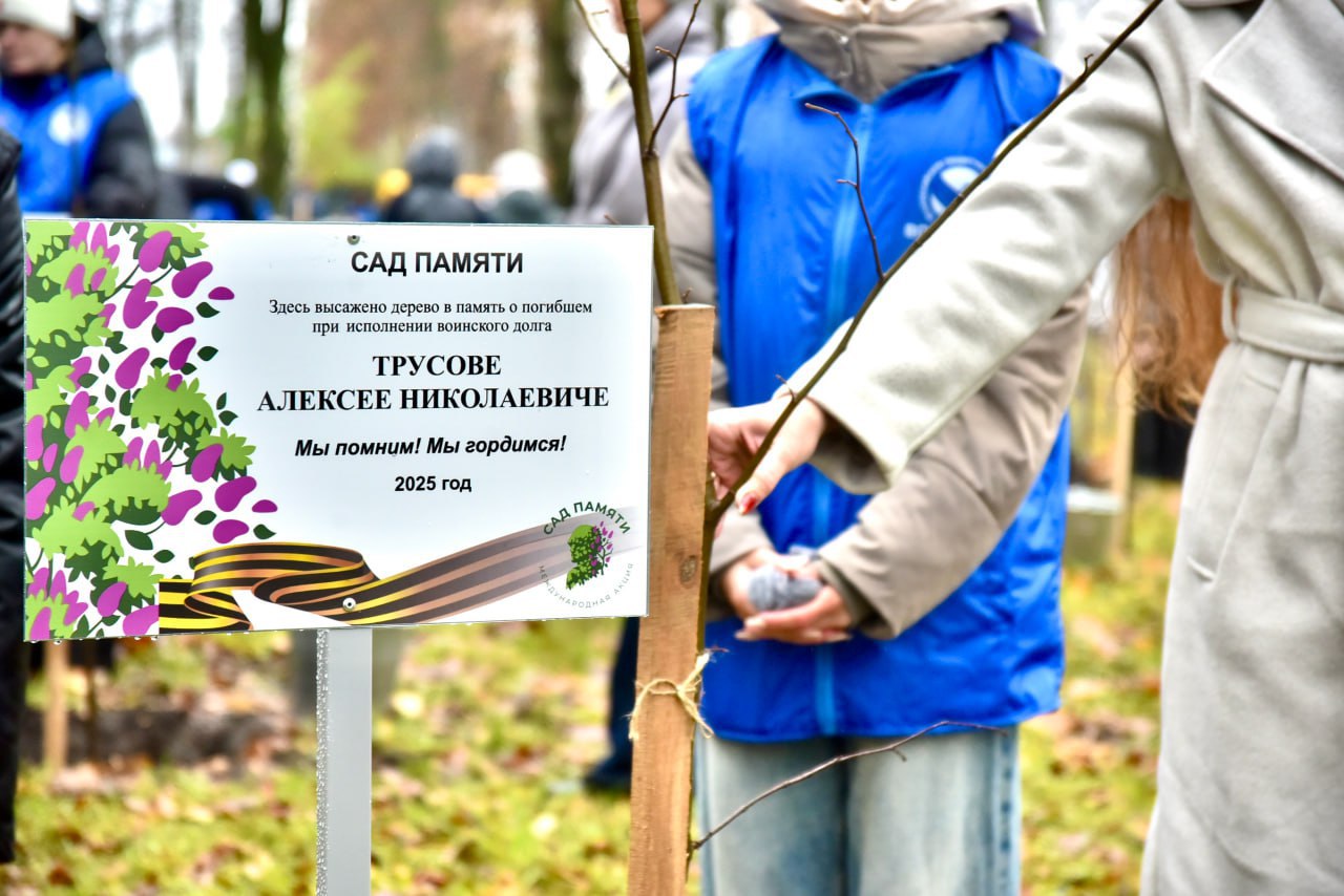 В Орле в Парке Победы высадили 89 молодых лип в память о героях СВО