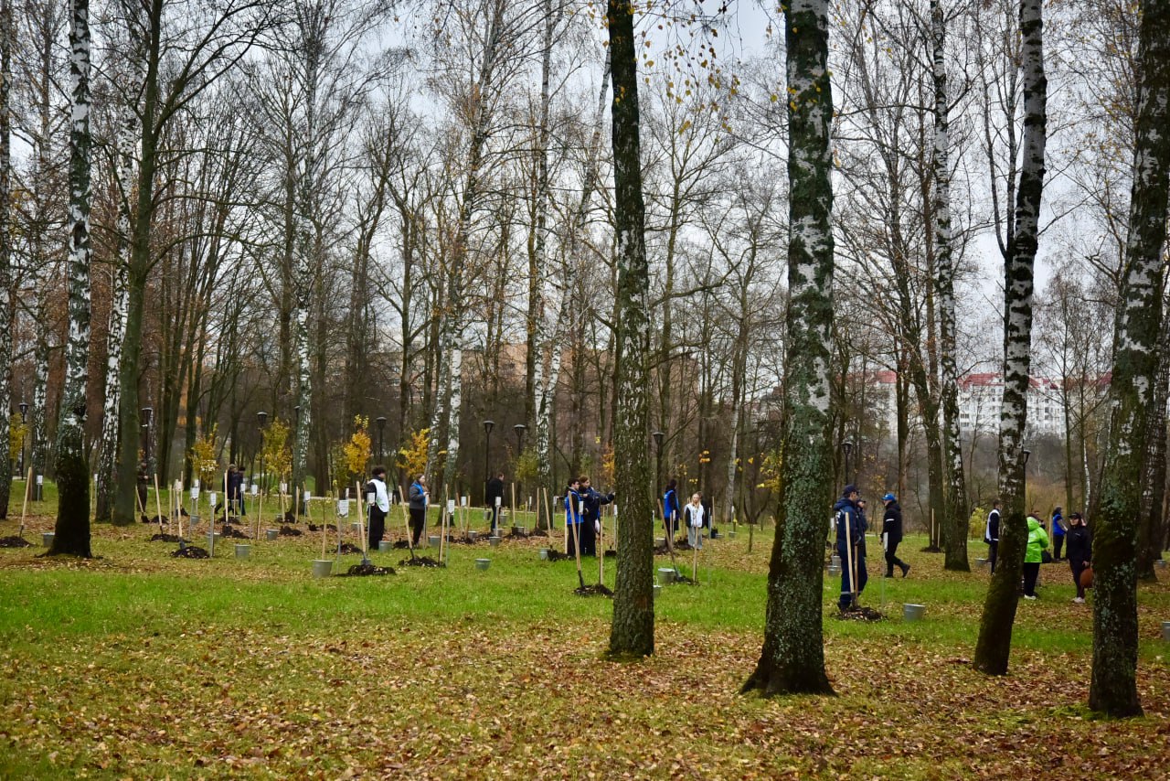 Андрей Клычков: В канун Дня народного единства в Орле вновь прошла акция «Сад памяти» Андрей Клычков: В канун Дня народного единства в Орле вновь прошла акция «Сад памяти»