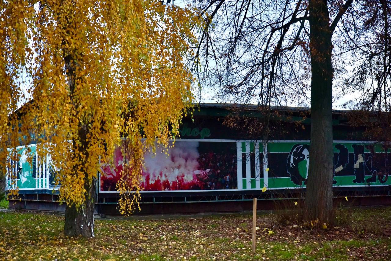 На месте легендарной "Стекляшки" в Орле появится зал единоборств