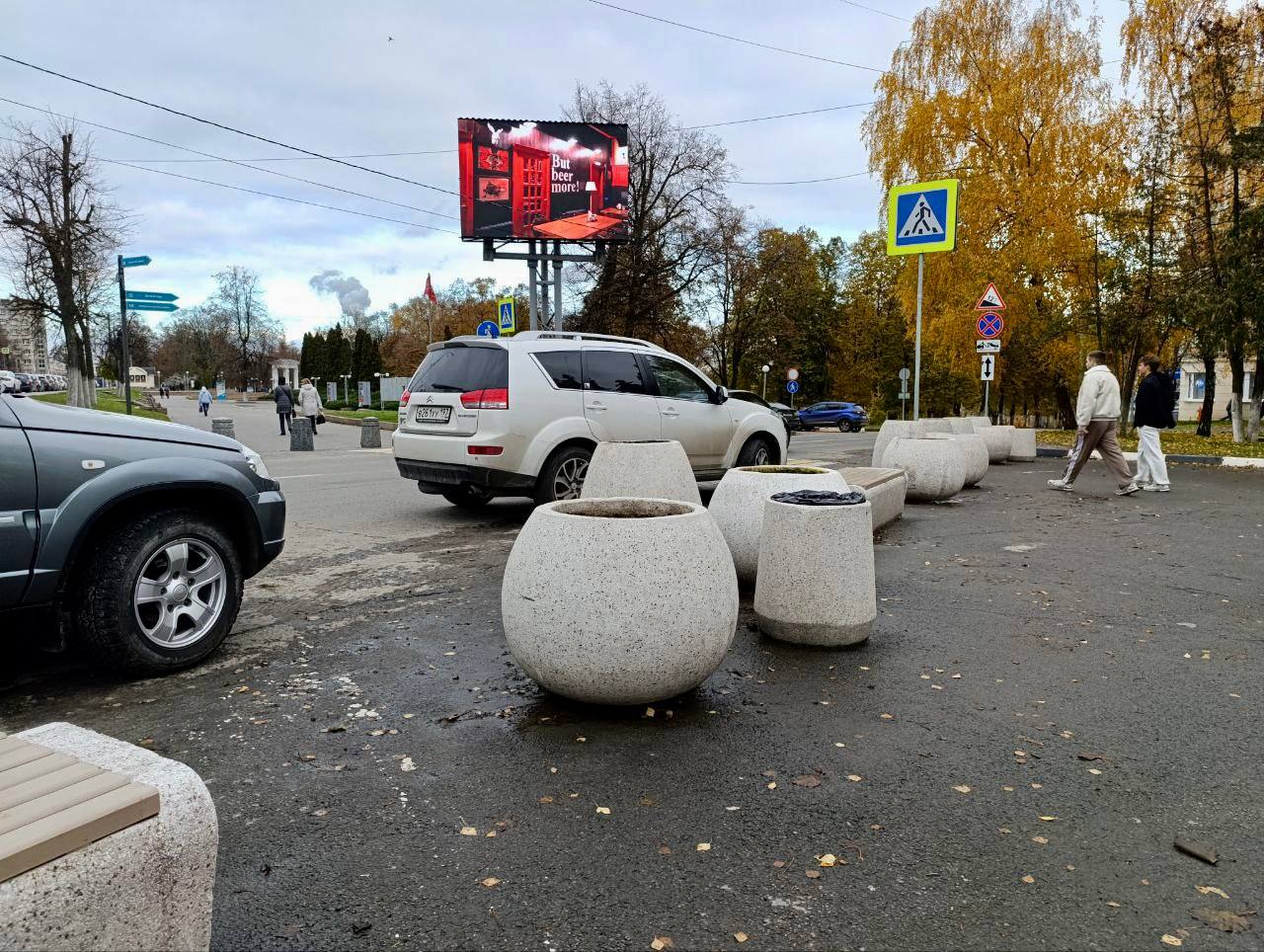 Туи со «Стрелки» нашли зимовку у сухого фонтана Туи со «Стрелки» нашли зимовку у сухого фонтана