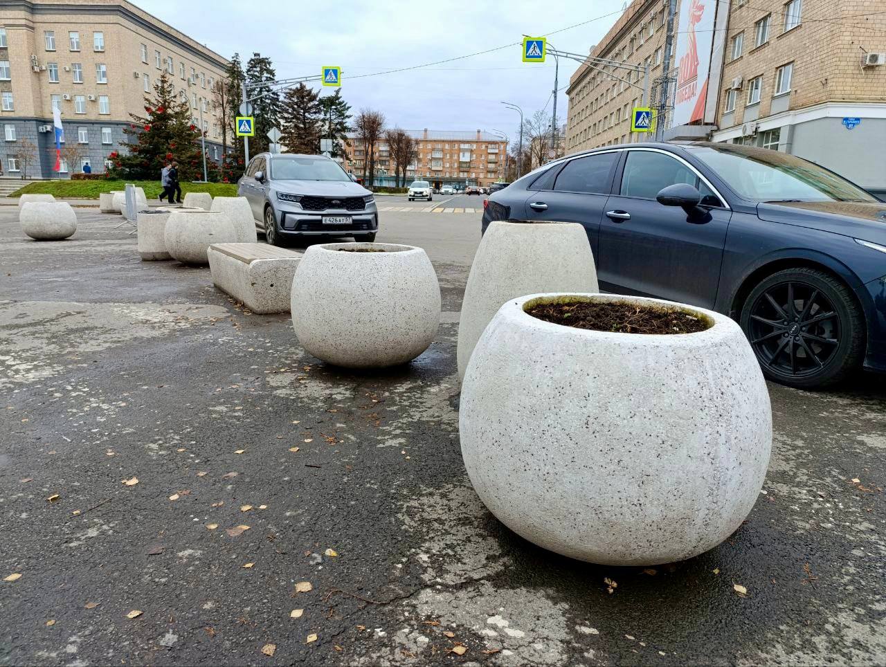 Туи со «Стрелки» нашли зимовку у сухого фонтана Туи со «Стрелки» нашли зимовку у сухого фонтана