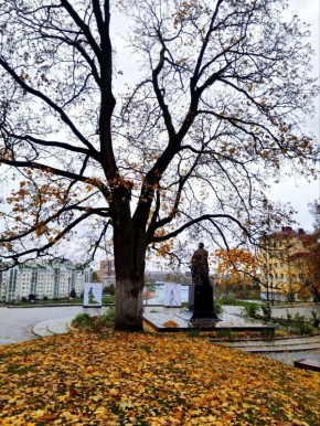 Сегодня синоптики обещают пасмурную с прояснениями погоду