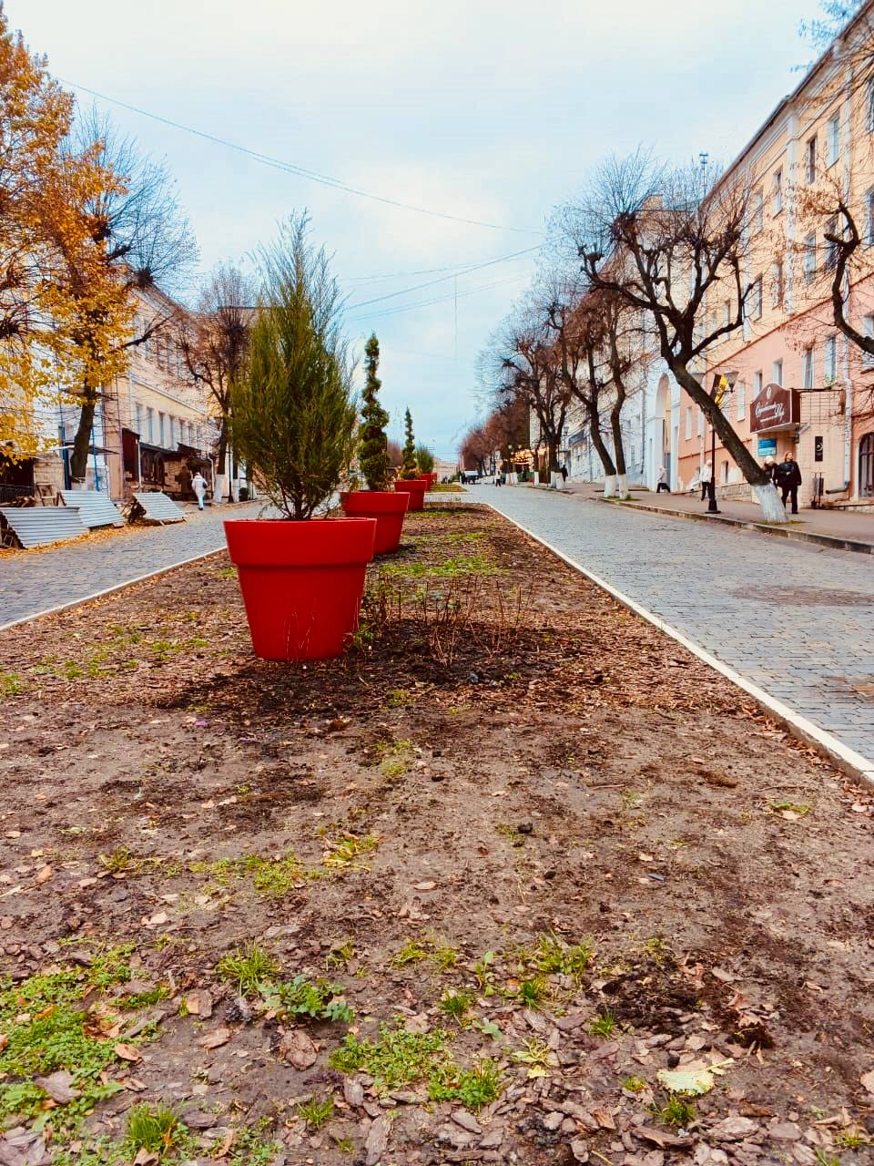 На орловских клумбах «поселились» гортензии На орловских клумбах «поселились» гортензии