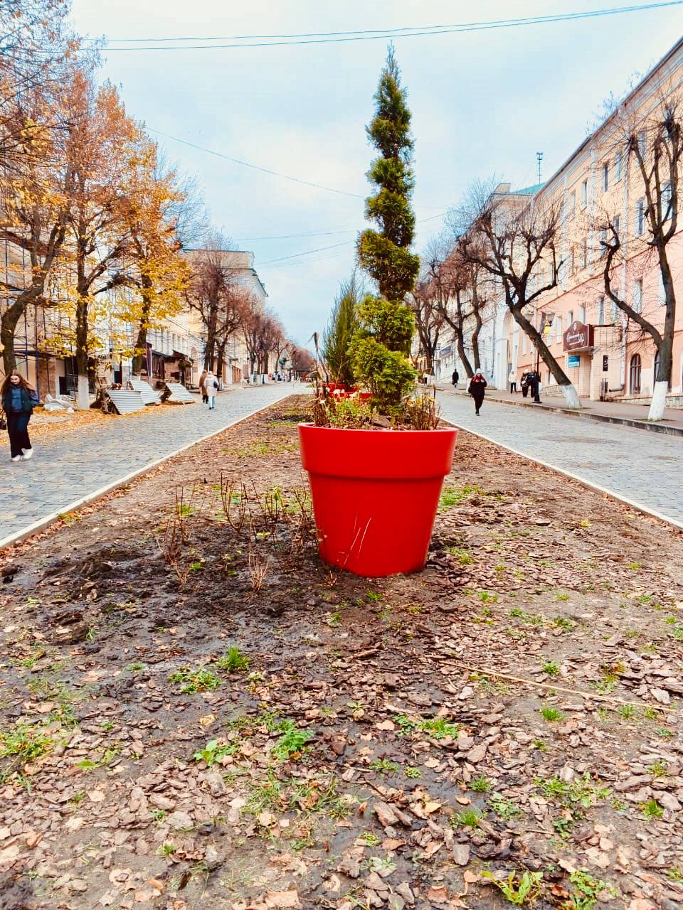 На орловских клумбах «поселились» гортензии На орловских клумбах «поселились» гортензии