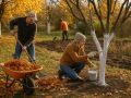 Ошибки осенних работ на даче: как избежать проблем с урожаем весной