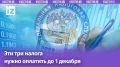 Настало время налогов: что необходимо знать россиянам в 2025 году