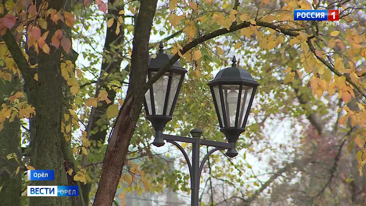 Психотерапевт посоветовал орловцам способы борьбы с интернет-травлей