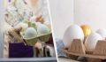 Секреты хранения куриных яиц: как сохранить свежесть на долгое время