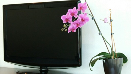 Угробите телевизор как пить дать: никогда не пользуйтесь этими средствами