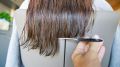 Почти как в салоне: стилисты раскрыли три секрета идеальной стрижки дома