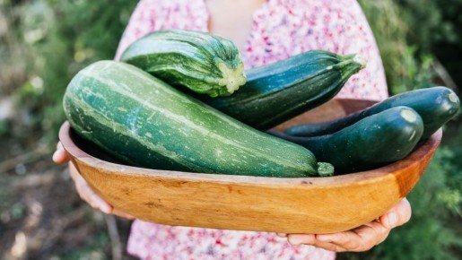 Гниль на кабачках еще не приговор: вот что вылечит больные плоды
