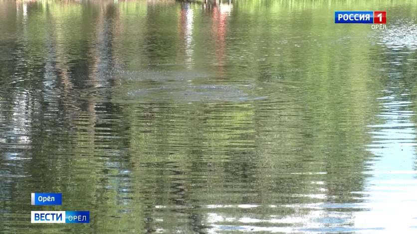 Под Орлом в пользу государства изъяли очередные "квадраты" берега