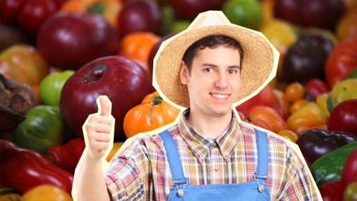 Урожай некуда будет девать: даже у самых ленивых эти помидоры растут как на дрожжах