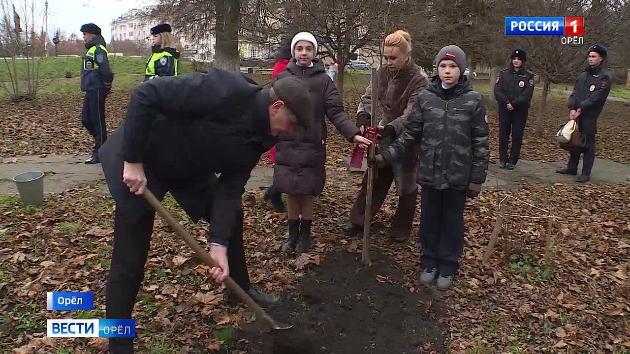 В Орле высадили молодые липы в память о детях, погибших в ДТП